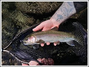 pesca_mosca_serra_3